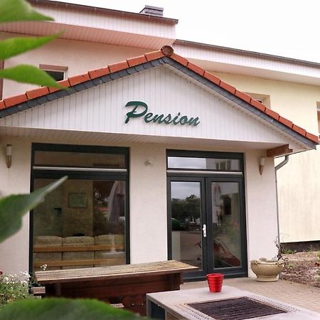 Pension " Zu Den Linden" Trin Trinwillershagen Zewnętrze zdjęcie